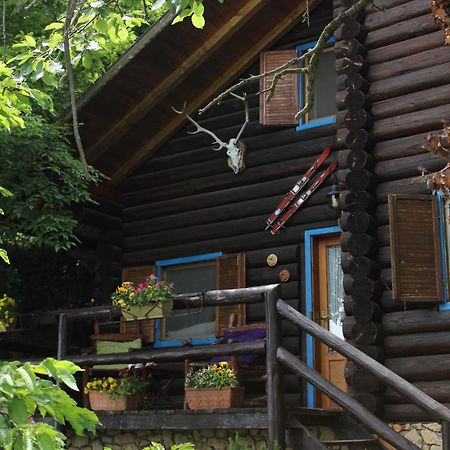 B&B Le Corone - Chalet Nel Bosco Cavalo المظهر الخارجي الصورة