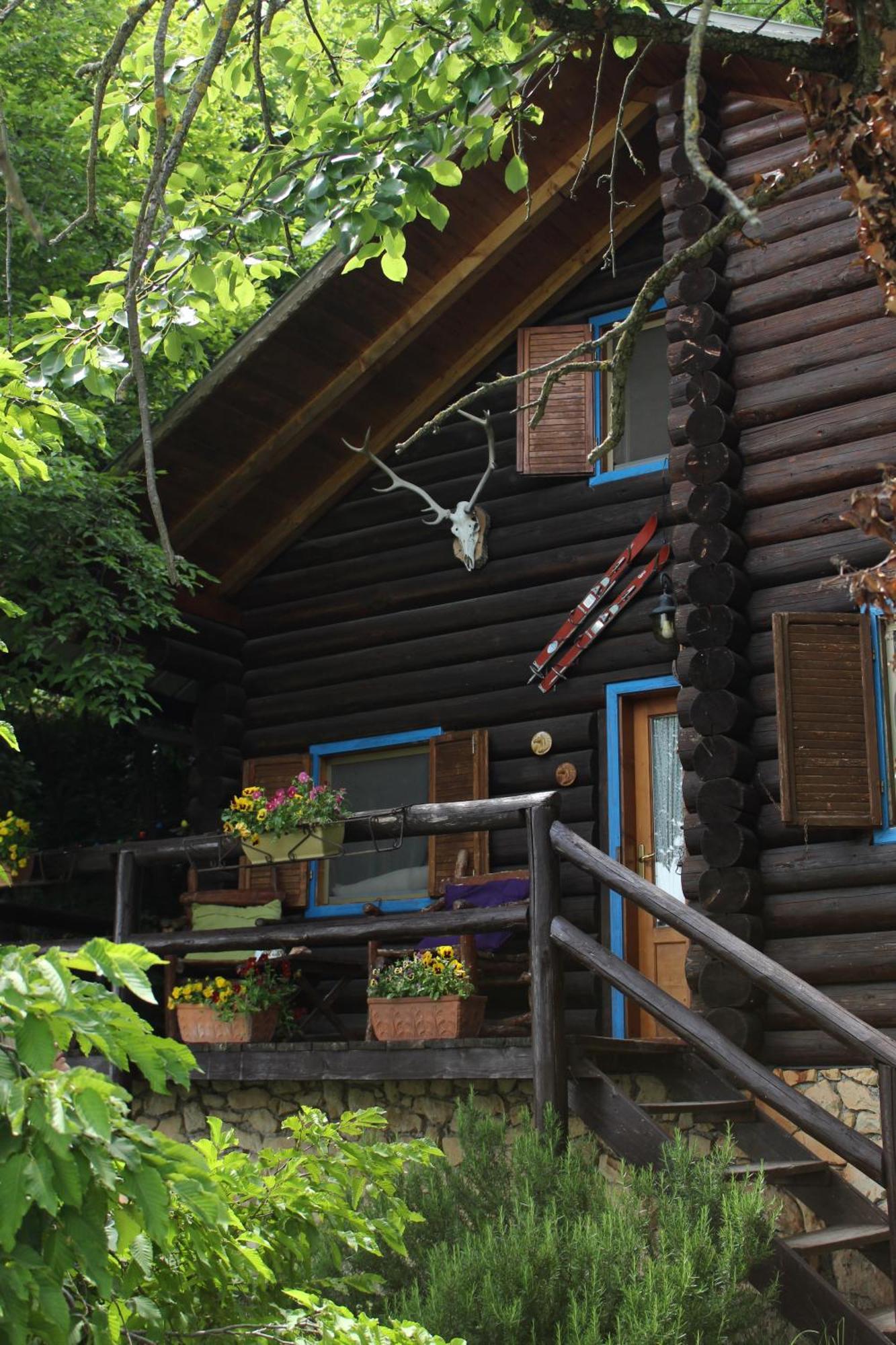B&B Le Corone - Chalet Nel Bosco Cavalo المظهر الخارجي الصورة